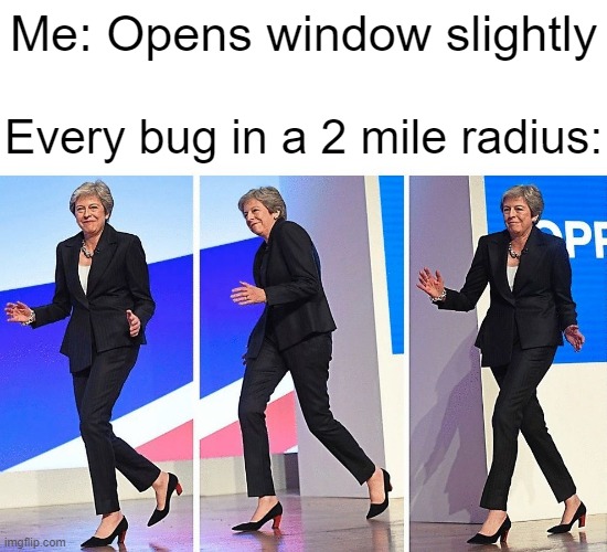 Good luck getting to sleep tonight with bzzz bzzz flying around all night long |  Me: Opens window slightly; Every bug in a 2 mile radius: | image tagged in theresa may walking,fly | made w/ Imgflip meme maker