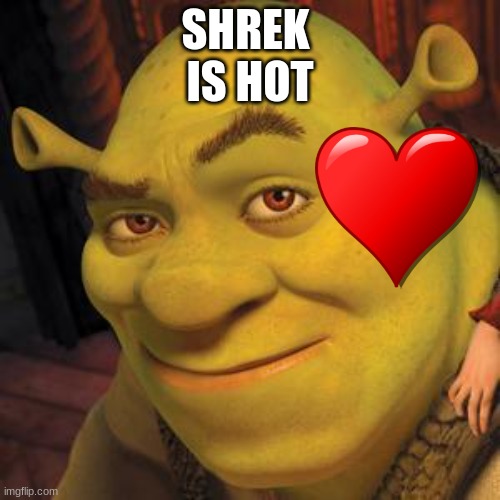 Shrek Sexy Face | SHREK 
IS HOT | image tagged in shrek sexy face | made w/ Imgflip meme maker