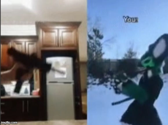 i love the top meme | made w/ Imgflip meme maker