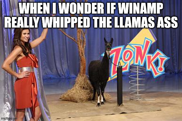 Zonk | WHEN I WONDER IF WINAMP REALLY WHIPPED THE LLAMAS ASS | image tagged in zonk,program,ass,metaphor,irony | made w/ Imgflip meme maker