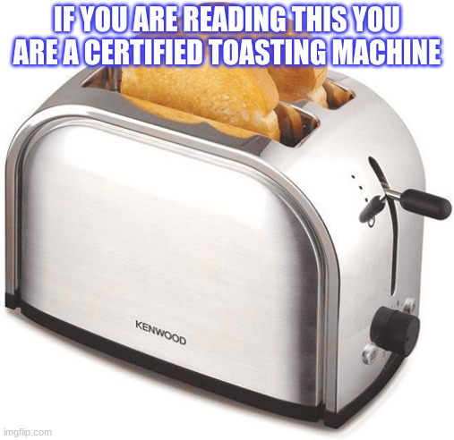 toaster machine.mp3 | IF YOU ARE READING THIS YOU ARE A CERTIFIED TOASTING MACHINE | image tagged in toaster | made w/ Imgflip meme maker