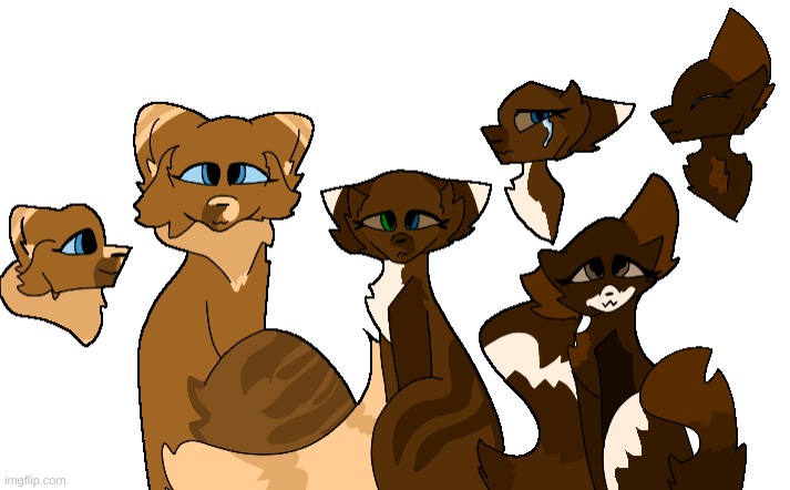I made me and my freinds as cats! ( Left: Mushlling, Middle: Me/Moss, Right: F3ath3r ) | image tagged in freinds | made w/ Imgflip meme maker