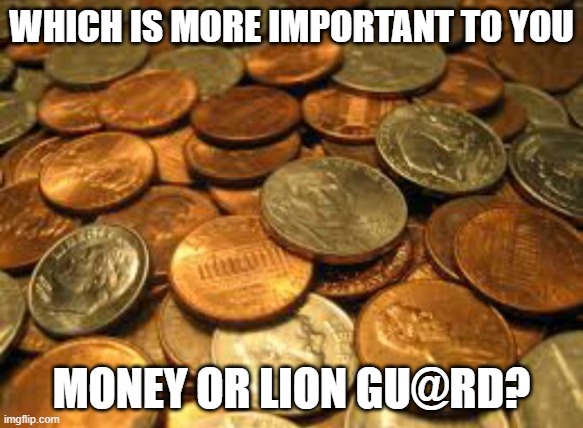 For me, money | WHICH IS MORE IMPORTANT TO YOU; MONEY OR LION GU@RD? | image tagged in coins | made w/ Imgflip meme maker