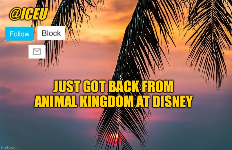 :) | JUST GOT BACK FROM ANIMAL KINGDOM AT DISNEY | image tagged in iceu summer template 1 | made w/ Imgflip meme maker