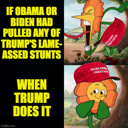 This is why nobody takes you seriously. | IF OBAMA OR
BIDEN HAD
PULLED ANY OF
TRUMP'S LAME-
ASSED STUNTS; WHEN
TRUMP
DOES IT | image tagged in reverse drake,maga flower,republican hypocrisy | made w/ Imgflip meme maker