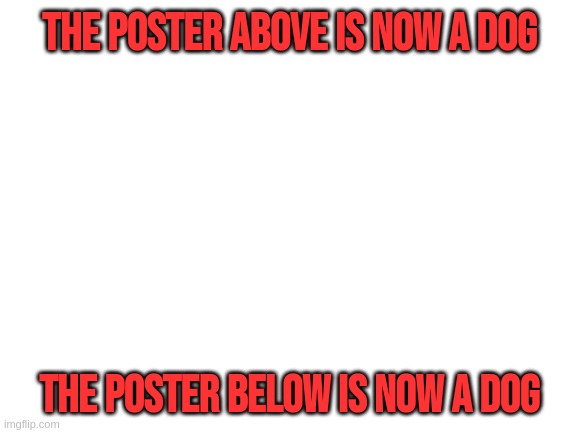 you are dog now | THE POSTER ABOVE IS NOW A DOG; THE POSTER BELOW IS NOW A DOG | image tagged in blank white template | made w/ Imgflip meme maker