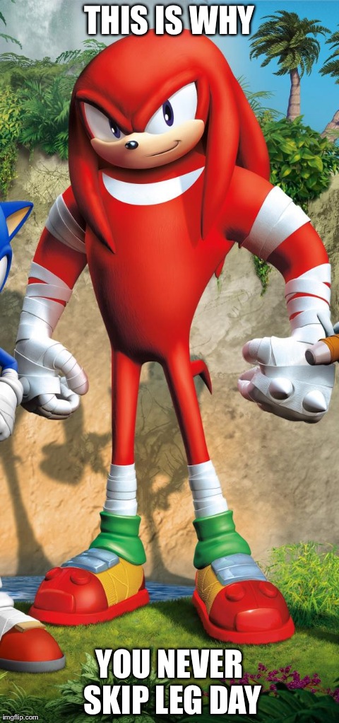 THIS IS WHY YOU NEVER SKIP LEG DAY | image tagged in about the new knuckles | made w/ Imgflip meme maker