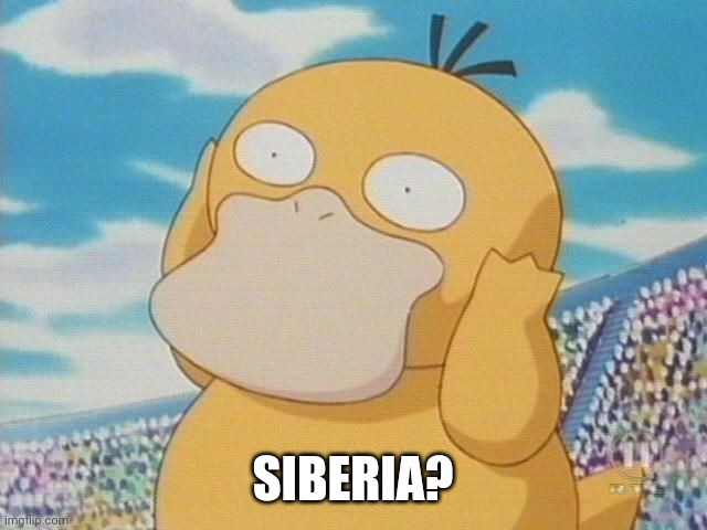 Psyduck | SIBERIA? | image tagged in psyduck | made w/ Imgflip meme maker