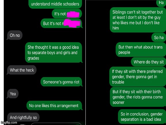 In conclusion, gender separation is a bad idea. | image tagged in text with friend,text,bus late | made w/ Imgflip meme maker
