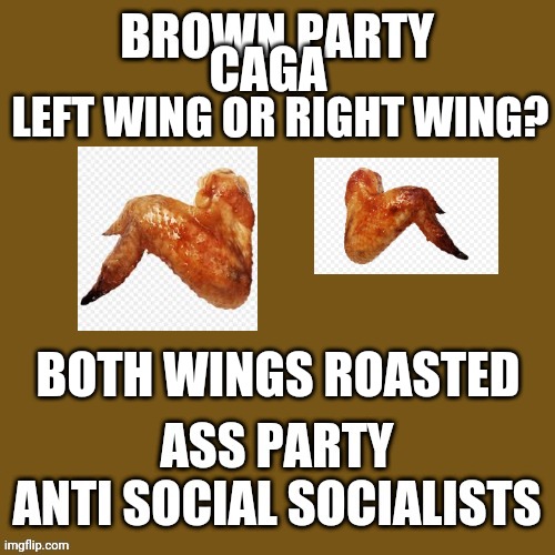 both roasted | LEFT WING OR RIGHT WING? CAGA; BOTH WINGS ROASTED | image tagged in blank brown party template ass anti social socialists,left wing politics,right wing politics | made w/ Imgflip meme maker