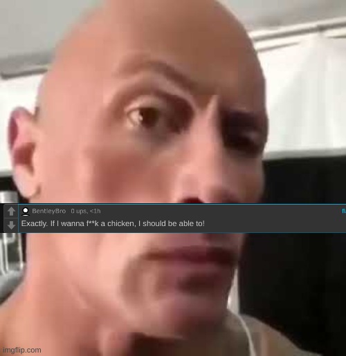 The Rock Eyebrows | image tagged in the rock eyebrows | made w/ Imgflip meme maker