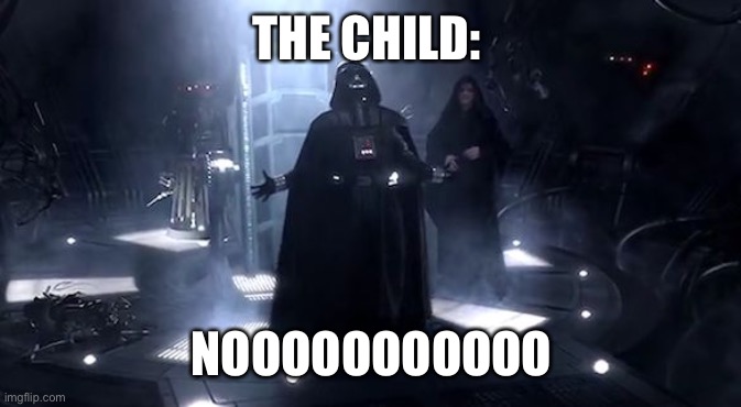 Vader nooooooooo | THE CHILD: NOOOOOOOOOOO | image tagged in vader nooooooooo | made w/ Imgflip meme maker