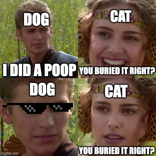Anakin Padme 4 Panel | DOG; CAT; I DID A POOP; YOU BURIED IT RIGHT? DOG; CAT; YOU BURIED IT RIGHT? | image tagged in anakin padme 4 panel | made w/ Imgflip meme maker