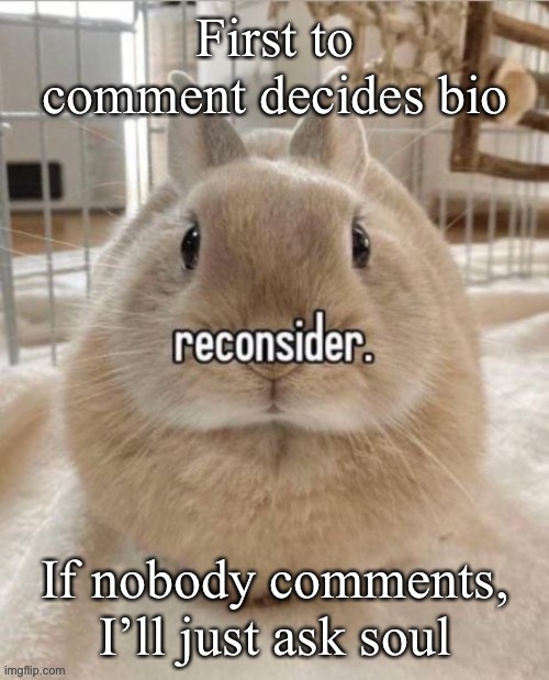 reconsider | First to comment decides bio; If nobody comments, I’ll just ask soul | image tagged in reconsider | made w/ Imgflip meme maker