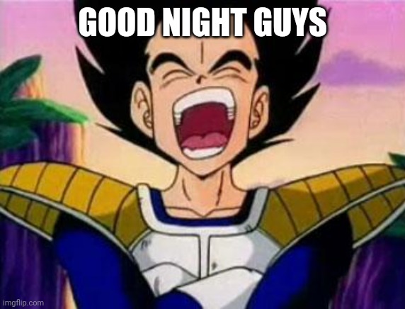 vegeta lol | GOOD NIGHT GUYS | image tagged in vegeta lol | made w/ Imgflip meme maker