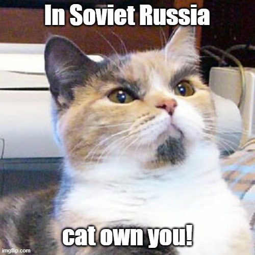 In Soviet Russia cat own you! | made w/ Imgflip meme maker