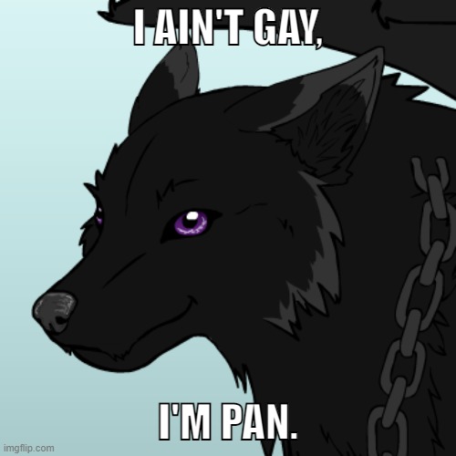 Not in an offensive way, Just look at the meme below. xD | I AIN'T GAY, I'M PAN. | image tagged in memes | made w/ Imgflip meme maker