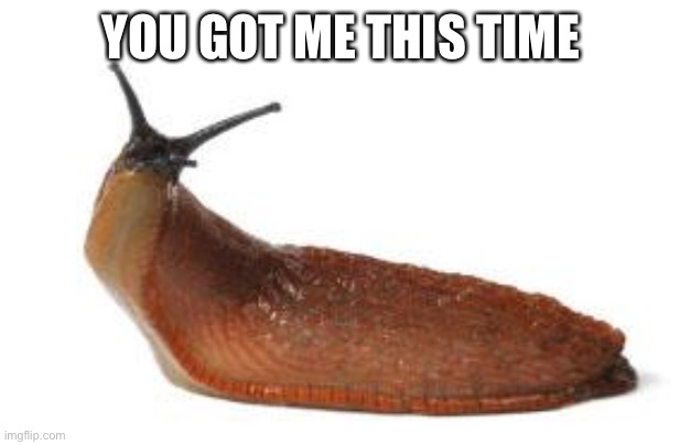 slug life | YOU GOT ME THIS TIME | image tagged in slug life | made w/ Imgflip meme maker