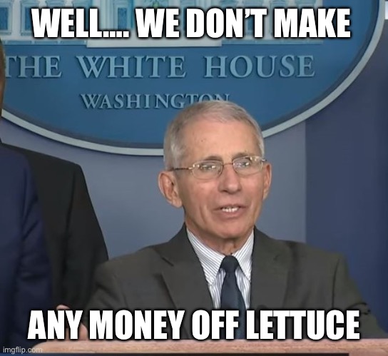 Dr Fauci | WELL…. WE DON’T MAKE ANY MONEY OFF LETTUCE | image tagged in dr fauci | made w/ Imgflip meme maker