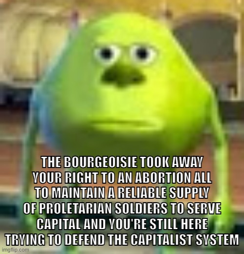 Your rights are respected at the mercy of the capitalist class. | THE BOURGEOISIE TOOK AWAY YOUR RIGHT TO AN ABORTION ALL TO MAINTAIN A RELIABLE SUPPLY OF PROLETARIAN SOLDIERS TO SERVE CAPITAL AND YOU'RE STILL HERE TRYING TO DEFEND THE CAPITALIST SYSTEM | image tagged in sully wazowski,bourgeoisie,capitalism,anti-capitalist,abortion,socialism | made w/ Imgflip meme maker