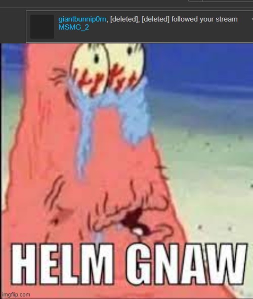 WHYYY | image tagged in helm gnaw | made w/ Imgflip meme maker