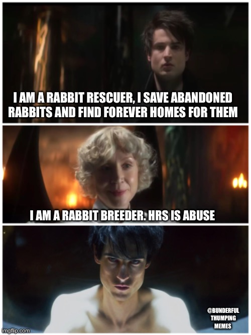 rabbit rescue | I AM A RABBIT RESCUER, I SAVE ABANDONED RABBITS AND FIND FOREVER HOMES FOR THEM; I AM A RABBIT BREEDER. HRS IS ABUSE; @BUNDERFUL THUMPING MEMES | image tagged in rabbits | made w/ Imgflip meme maker