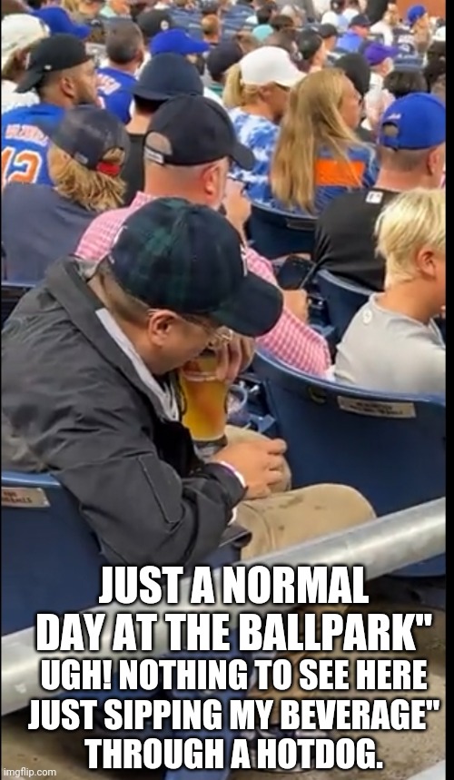 Guy at the ballpark sipping beverage through a hotdog | JUST A NORMAL DAY AT THE BALLPARK"; UGH! NOTHING TO SEE HERE
 JUST SIPPING MY BEVERAGE" 
THROUGH A HOTDOG. | image tagged in funny meme | made w/ Imgflip meme maker