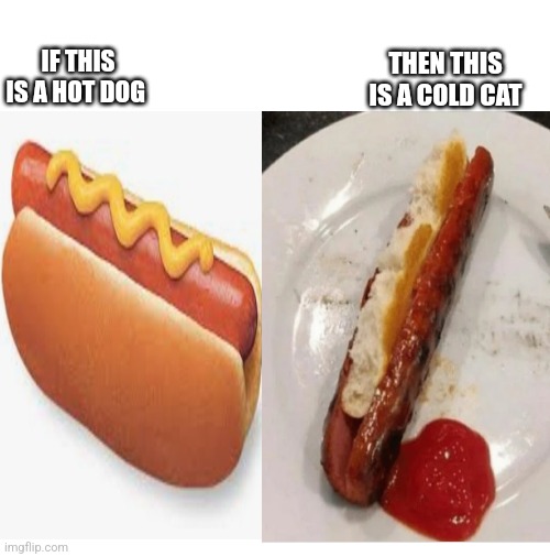 THEN THIS IS A COLD CAT; IF THIS IS A HOT DOG | image tagged in blank white template | made w/ Imgflip meme maker