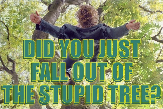 Stupid Tree | DID YOU JUST FALL OUT OF THE STUPID TREE? DID YOU JUST FALL OUT OF THE STUPID TREE? | image tagged in tree fall,memes,funny,insults,comeback,reactions | made w/ Imgflip meme maker