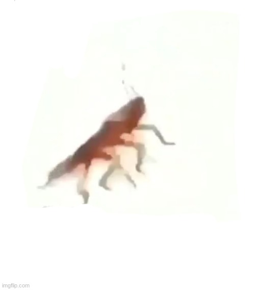 dancing cockroach change da world | image tagged in dancing cockroach change da world | made w/ Imgflip meme maker