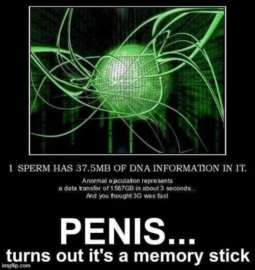 Science | image tagged in testicles | made w/ Imgflip meme maker