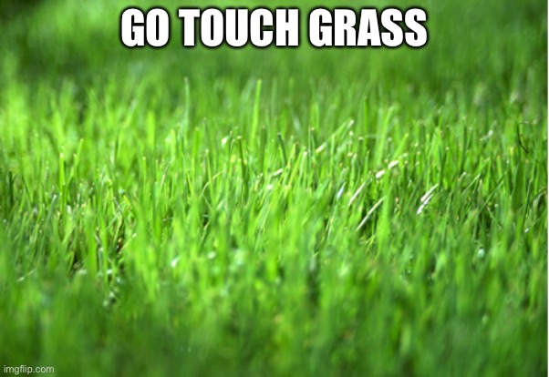 another very common insult | GO TOUCH GRASS | image tagged in grass is greener,go touch grass,touch grass,grass | made w/ Imgflip meme maker