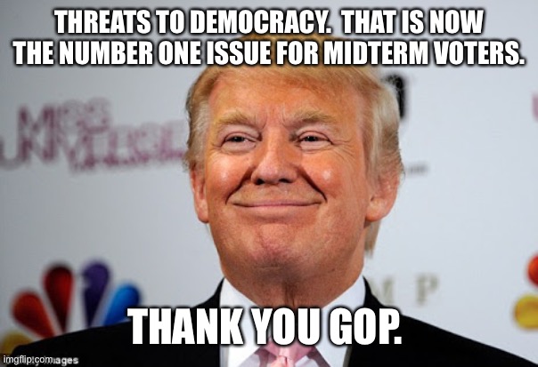 Donald trump approves | THREATS TO DEMOCRACY.  THAT IS NOW THE NUMBER ONE ISSUE FOR MIDTERM VOTERS. THANK YOU GOP. | image tagged in donald trump approves | made w/ Imgflip meme maker