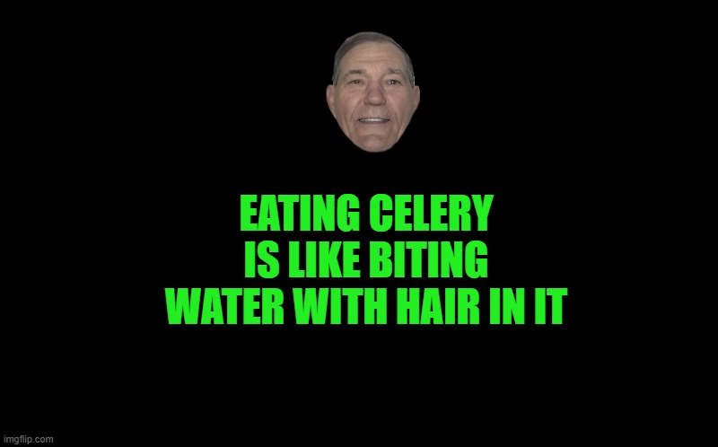 black screen | EATING CELERY IS LIKE BITING WATER WITH HAIR IN IT | image tagged in black screen | made w/ Imgflip meme maker