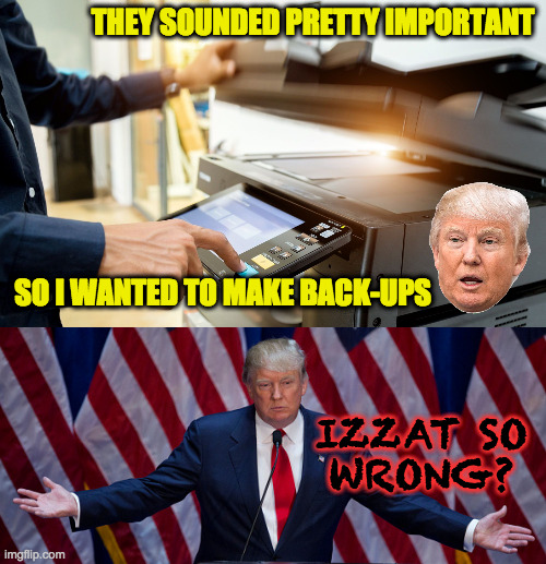 THEY SOUNDED PRETTY IMPORTANT SO I WANTED TO MAKE BACK-UPS IZZAT SO
WRONG? | image tagged in donald trump | made w/ Imgflip meme maker