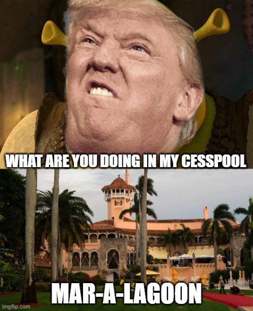 Angry Swampy Cesspool Trump | WHAT ARE YOU DOING IN MY CESSPOOL; MAR-A-LAGOON | image tagged in angry shrek,trump's mar-a-lago,donald trump thug life,drain the swamp trump,trump lies | made w/ Imgflip meme maker