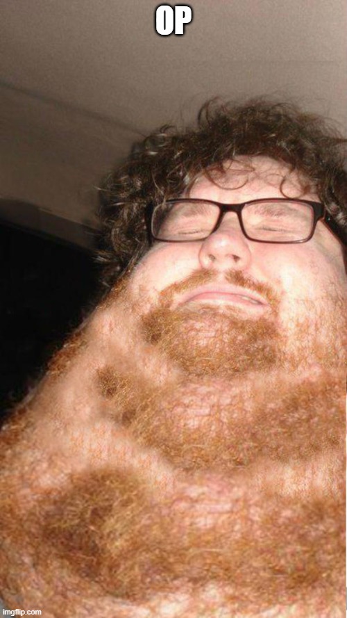 obese neckbearded dude | OP | image tagged in obese neckbearded dude | made w/ Imgflip meme maker