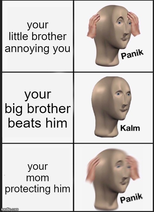 Lesson For Today: Don't Get A Little Brother | your little brother annoying you; your big brother beats him; your mom protecting him | image tagged in memes,panik kalm panik | made w/ Imgflip meme maker