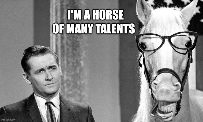 Horse of Many Talents | OF MANY TALENTS; I'M A HORSE | image tagged in horse,talent,glasses | made w/ Imgflip meme maker
