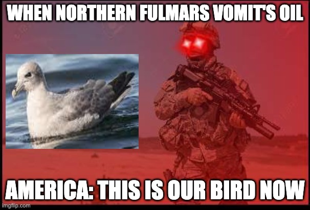 The Real Freedom Bird | WHEN NORTHERN FULMARS VOMIT'S OIL; AMERICA: THIS IS OUR BIRD NOW | image tagged in triggered us soldier | made w/ Imgflip meme maker