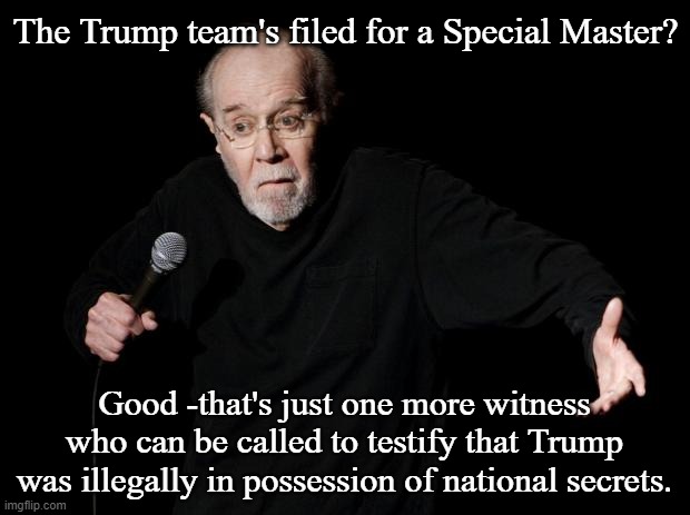 Not that it really matters; Trump and his enablers will just lie about the findings and the cult will believe it. | The Trump team's filed for a Special Master? Good -that's just one more witness who can be called to testify that Trump was illegally in possession of national secrets. | image tagged in george carlin | made w/ Imgflip meme maker