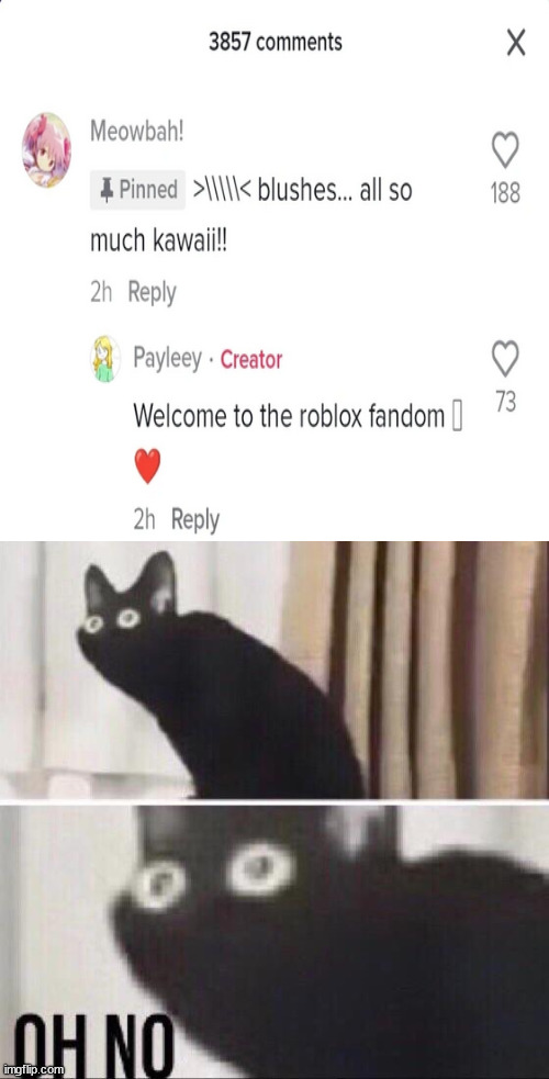 i just found out.... i shall prepare for death when i see them | image tagged in oh no cat,meowbahh,death,roblox,fandom,wiki | made w/ Imgflip meme maker