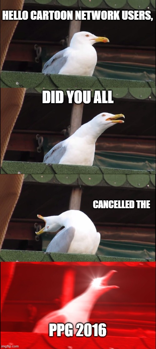 Inhaling Seagull Meme | HELLO CARTOON NETWORK USERS, DID YOU ALL; CANCELLED THE; PPG 2016 | image tagged in memes,inhaling seagull | made w/ Imgflip meme maker