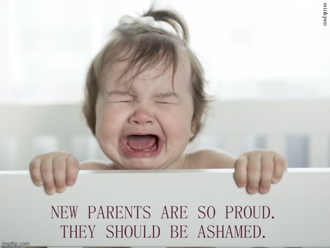 Life is Hell | minkpen; NEW PARENTS ARE SO PROUD.
THEY SHOULD BE ASHAMED. | image tagged in antinatalism,stop having children,climate change,we're doomed,overpopulation,anti-overpopulation | made w/ Imgflip meme maker
