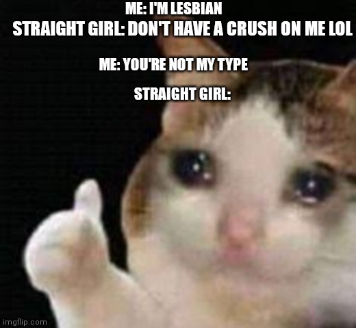 ? | ME: I'M LESBIAN; STRAIGHT GIRL: DON'T HAVE A CRUSH ON ME LOL; ME: YOU'RE NOT MY TYPE; STRAIGHT GIRL: | image tagged in approved crying cat | made w/ Imgflip meme maker