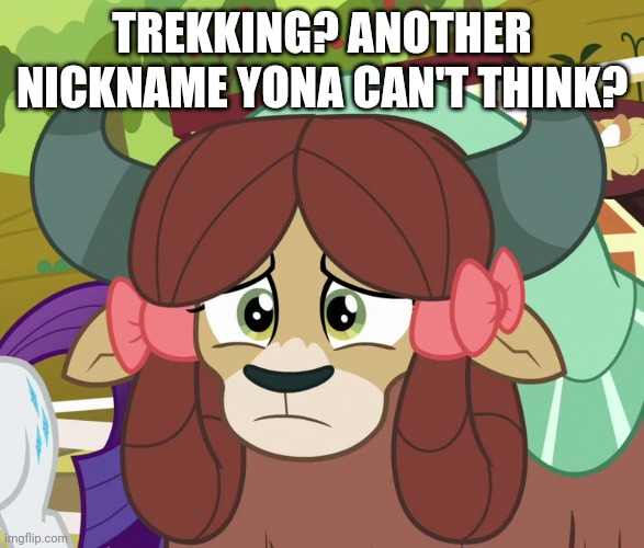 TREKKING? ANOTHER NICKNAME YONA CAN'T THINK? | made w/ Imgflip meme maker