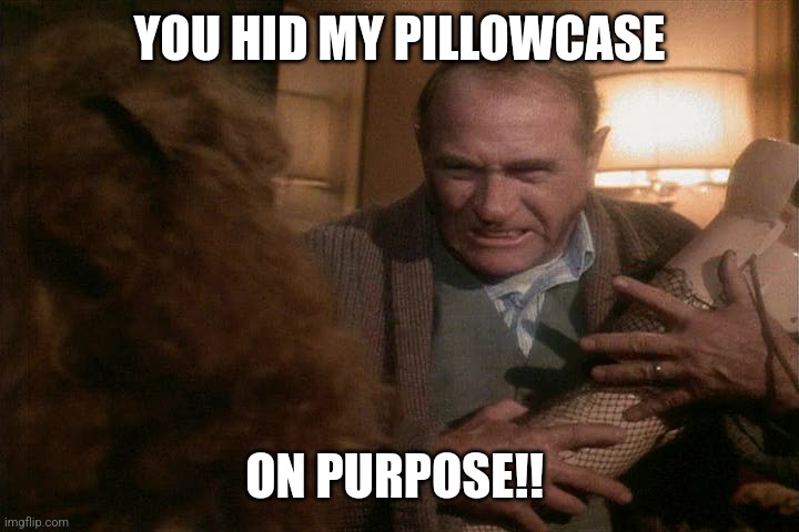 You stole my pillowcase on purpose | YOU HID MY PILLOWCASE; ON PURPOSE!! | image tagged in christmas story broken lamp | made w/ Imgflip meme maker