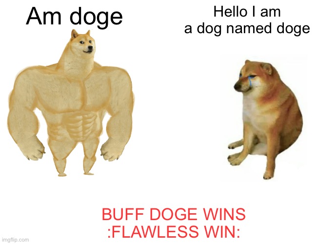 Buff Doge vs. Cheems | Am doge; Hello I am a dog named doge; BUFF DOGE WINS
:FLAWLESS WIN: | image tagged in memes,buff doge vs cheems | made w/ Imgflip meme maker