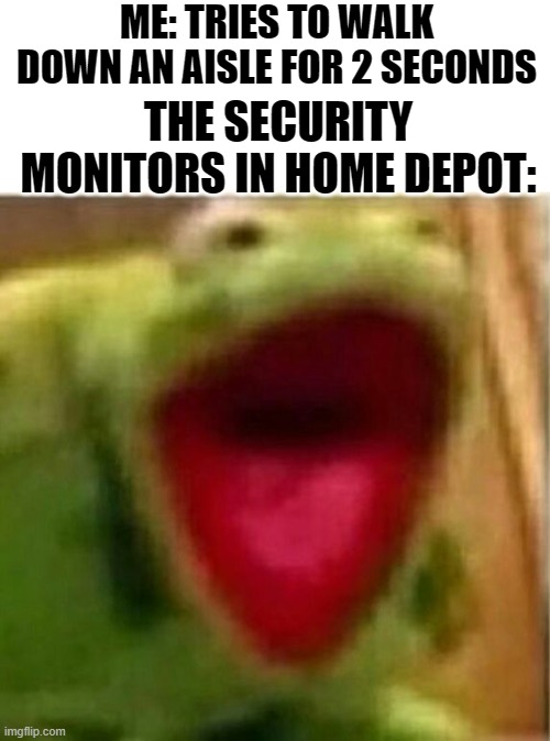 Srsly those things are annoying af | ME: TRIES TO WALK DOWN AN AISLE FOR 2 SECONDS; THE SECURITY MONITORS IN HOME DEPOT: | image tagged in ahhhhhhhhhhhhh | made w/ Imgflip meme maker