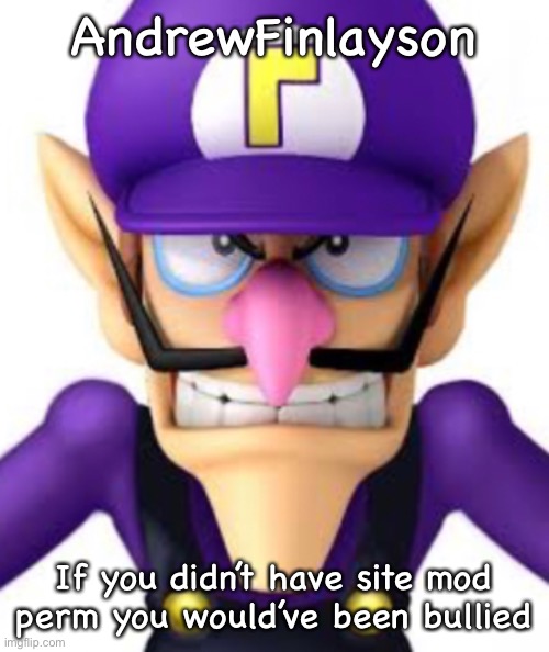 AndrewFinlayson; If you didn’t have site mod perm you would’ve been bullied | image tagged in waluigi facing front | made w/ Imgflip meme maker